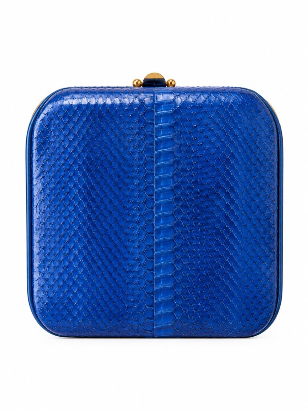 Vintage Genuine Snakeskin Frame Bag Blue Gold Crossbody Shoulder Purse